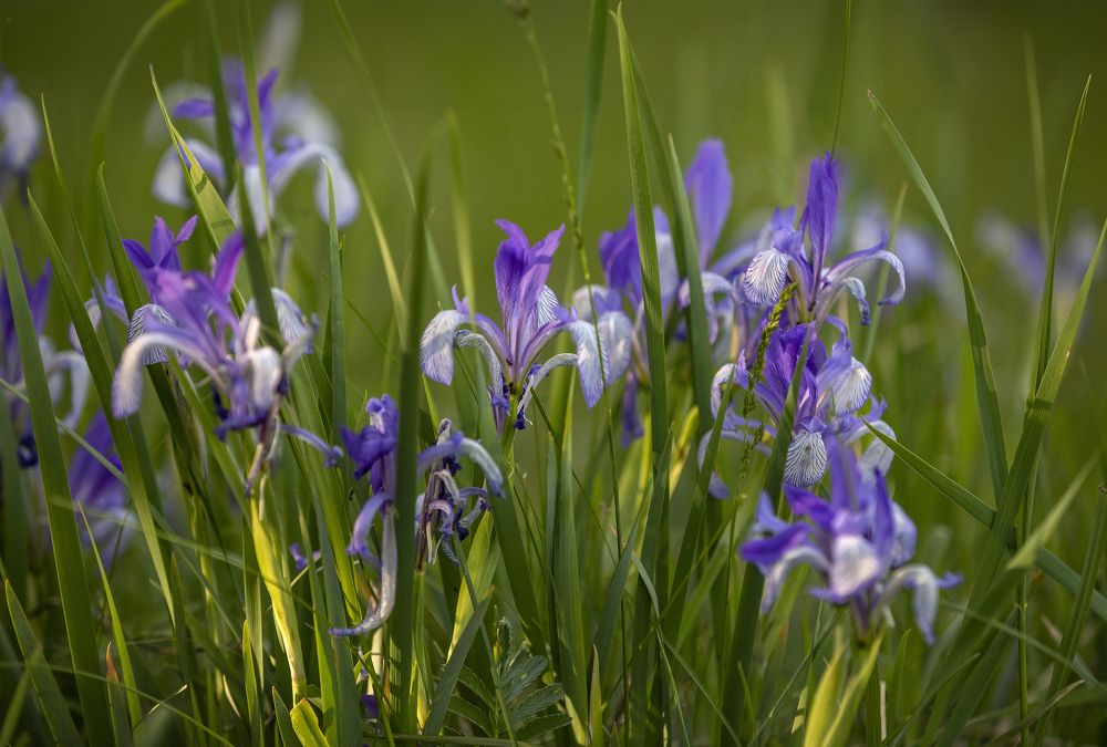 Фотография автора Дмитрий Юдин