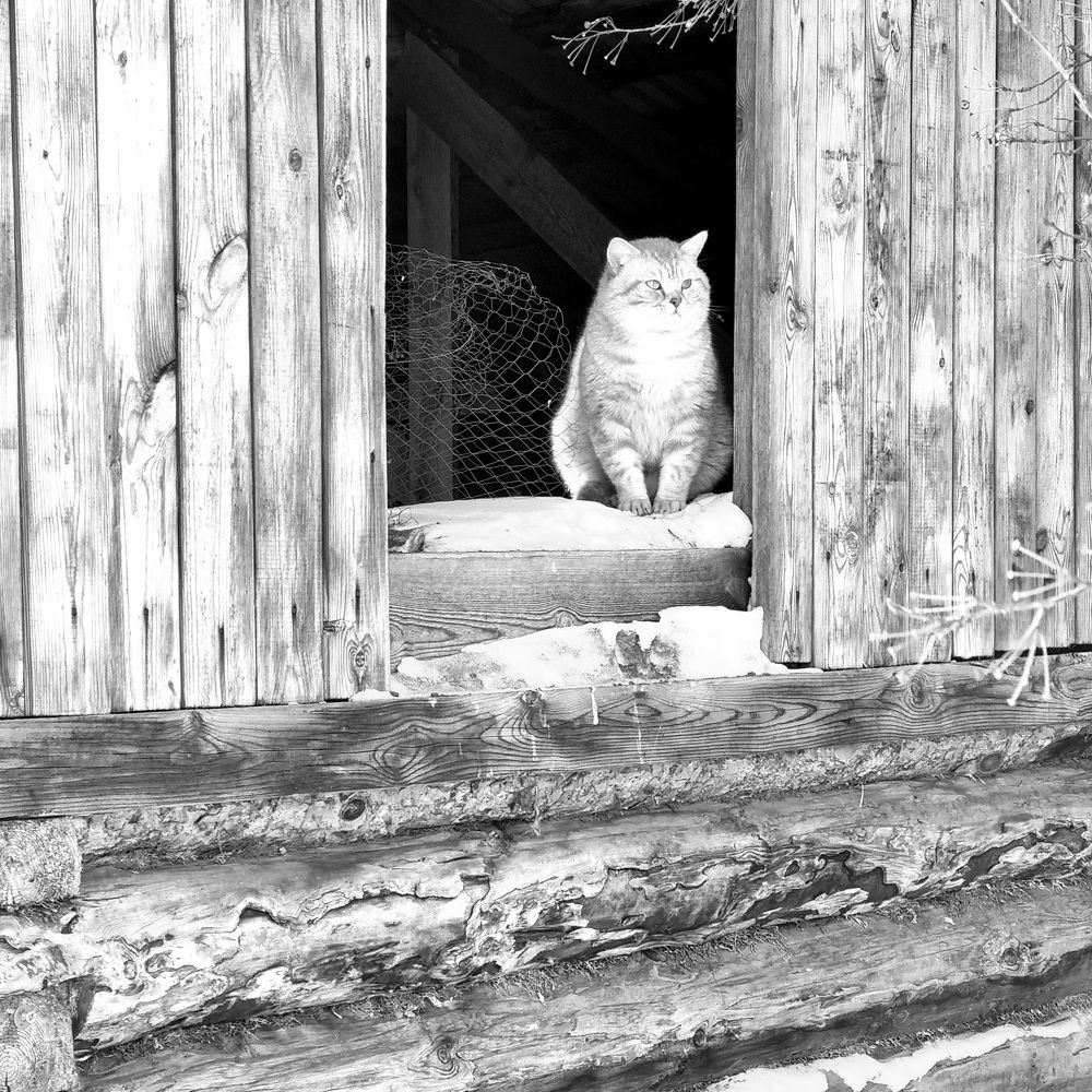 Photograph by Татьяна Устюжанина