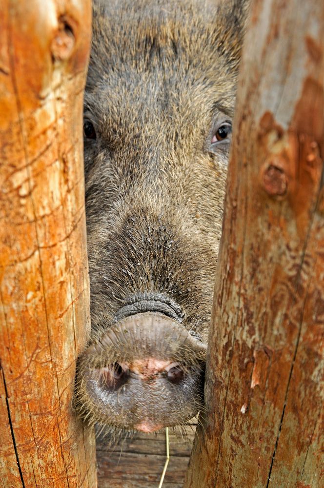 Photograph by Наталия Шинкевич