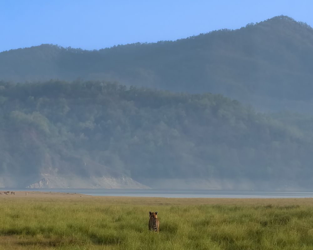 Photograph by Ashwani kasid