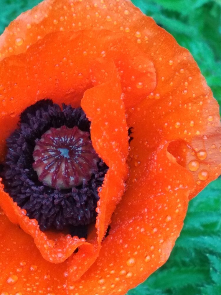 Photograph by Людмила Сотникова