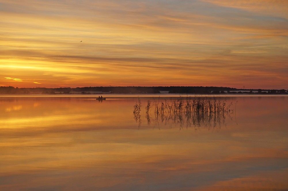 Photograph by Мишустина Татьяна