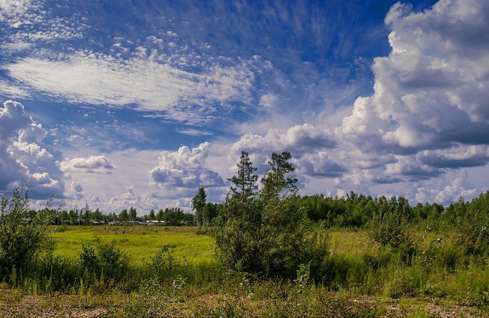 Июльские зарисовки