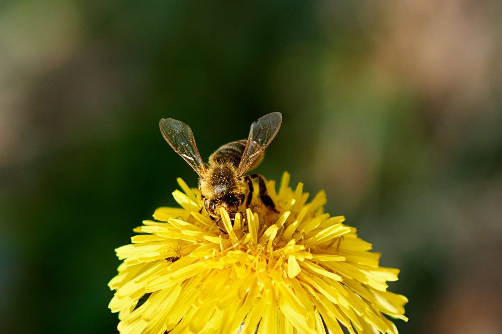 Photograph by Дмитрий Солодухин