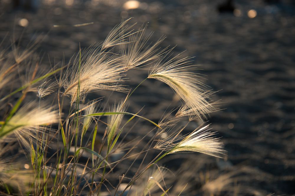 Фотография автора Рита Науменко