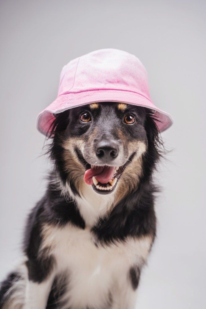 Фотография автора Юлия Бец