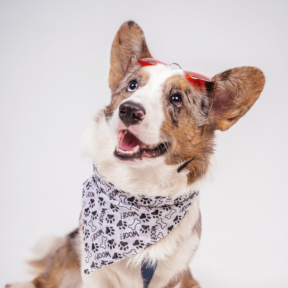 Фотография автора Юлия Бец