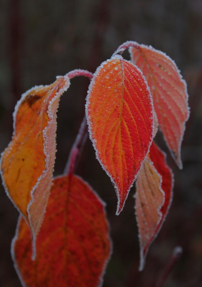 Фотография автора Михаил Кротков