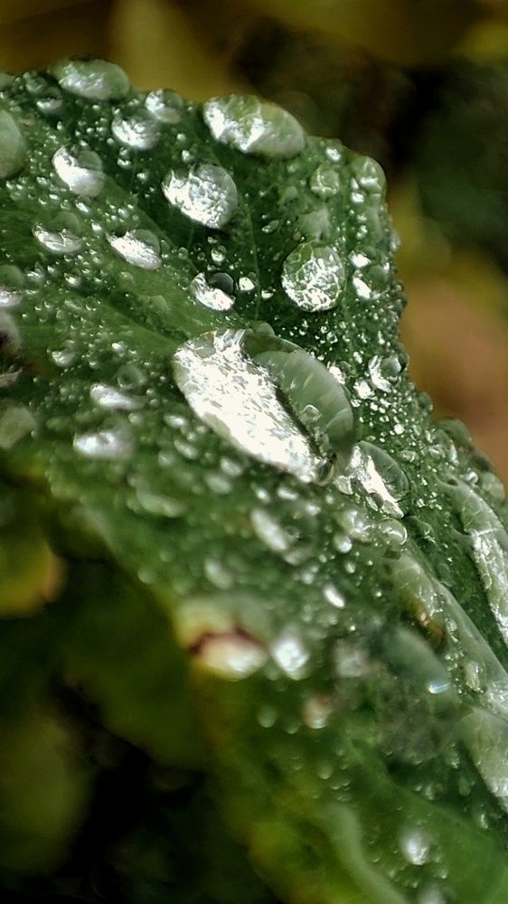 Photograph by Mila Vshivkova