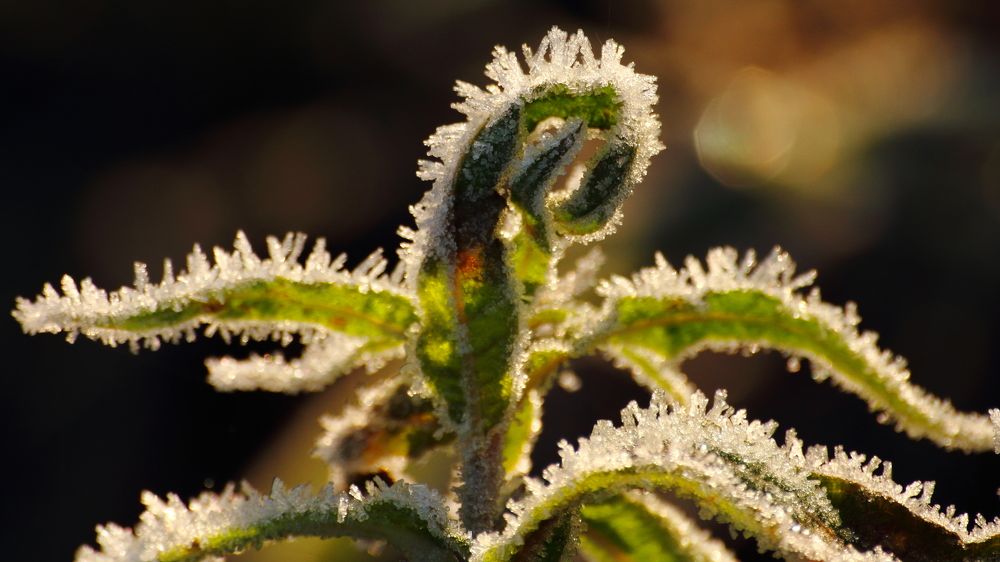 Фотография автора Михаил Кротков