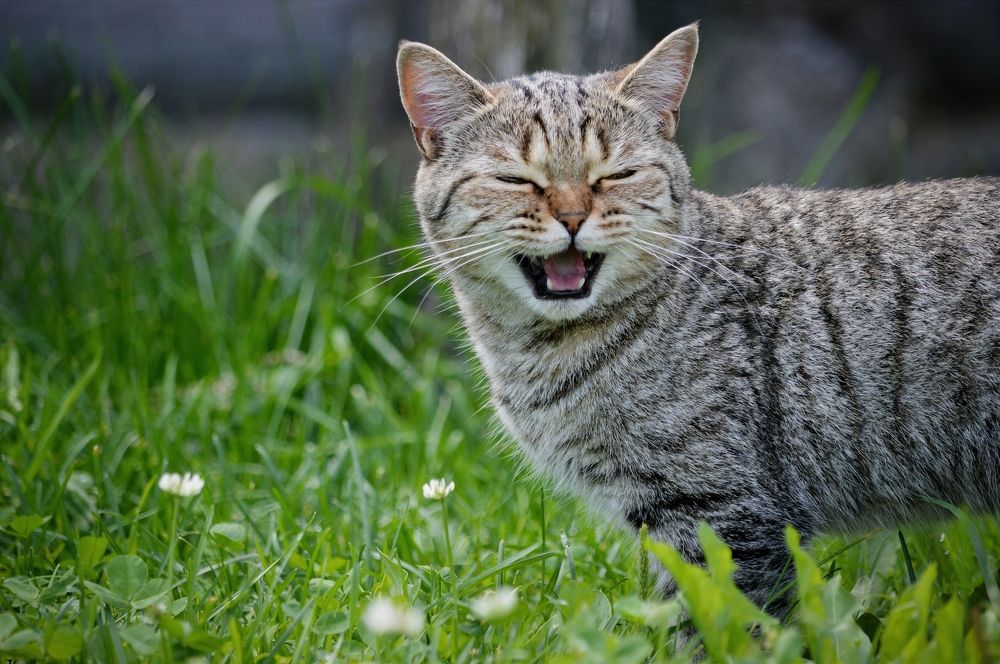 Photograph by Ольга Карабулина