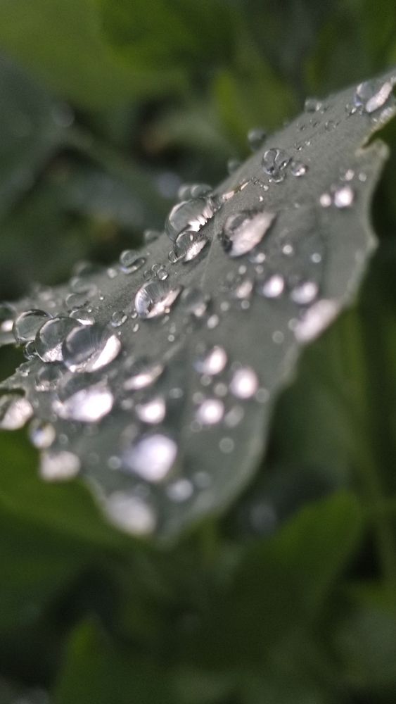 Фотография автора Васильева Ирина