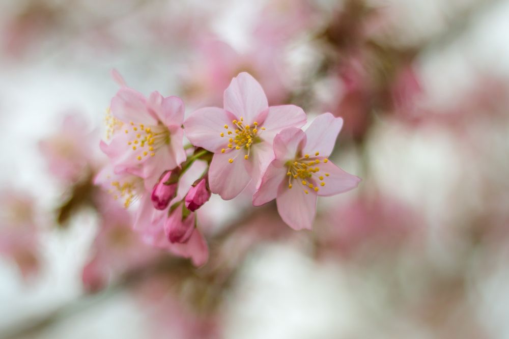 Фотография автора Рита Науменко
