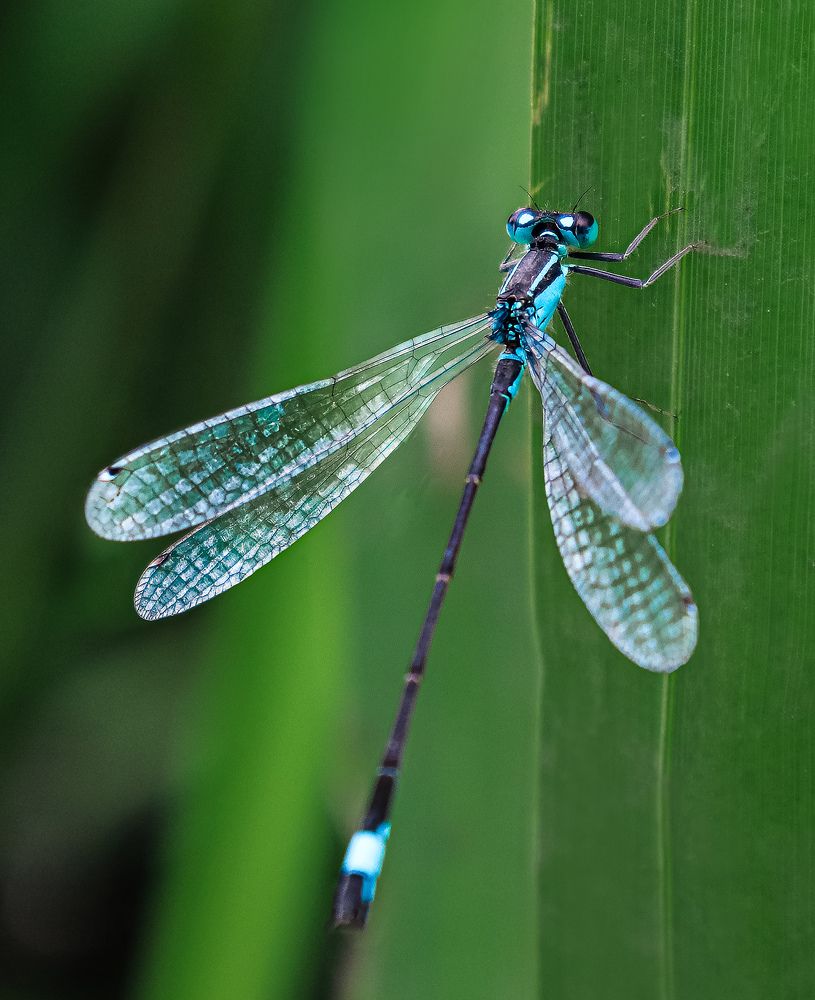 Photograph by Анастасия