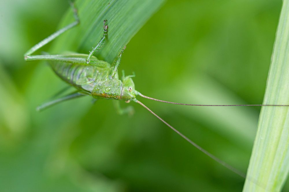Photograph by Вадим Басов