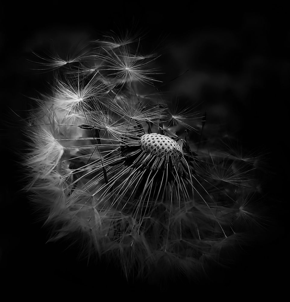 Photograph by Анастасия