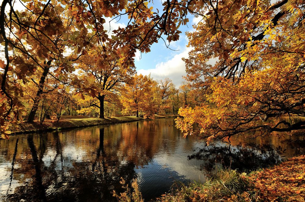 Photograph by Андрей Вестмит