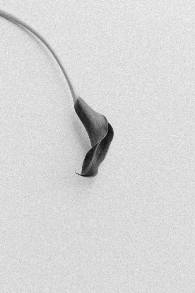 Photograph by Екатерина Маслова