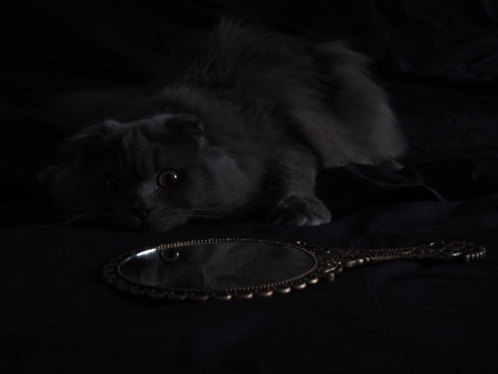 Photograph by Ольга Неведрова