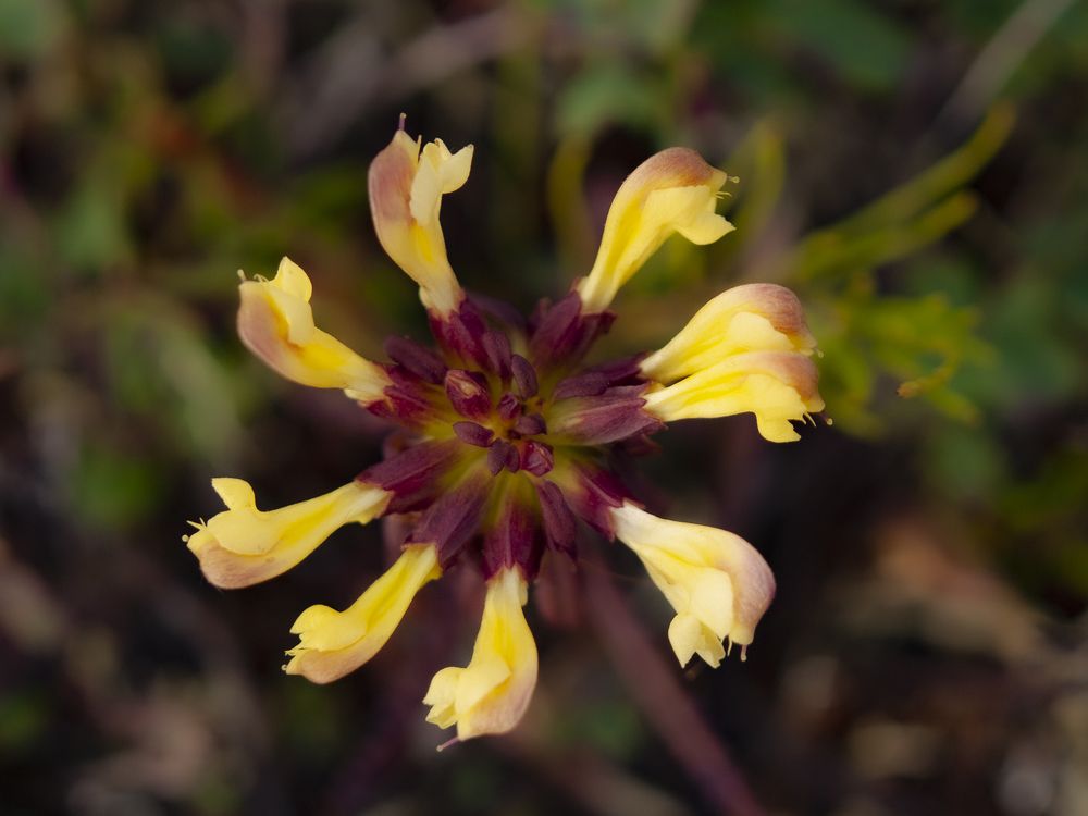 Photograph by Александр