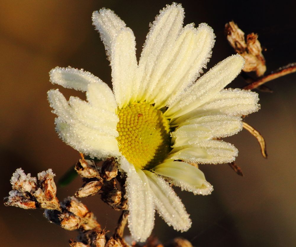 Фотография автора Михаил Кротков
