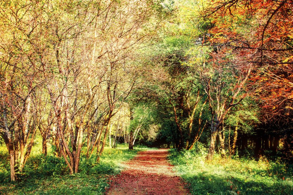 Photograph by Степанов Виктор