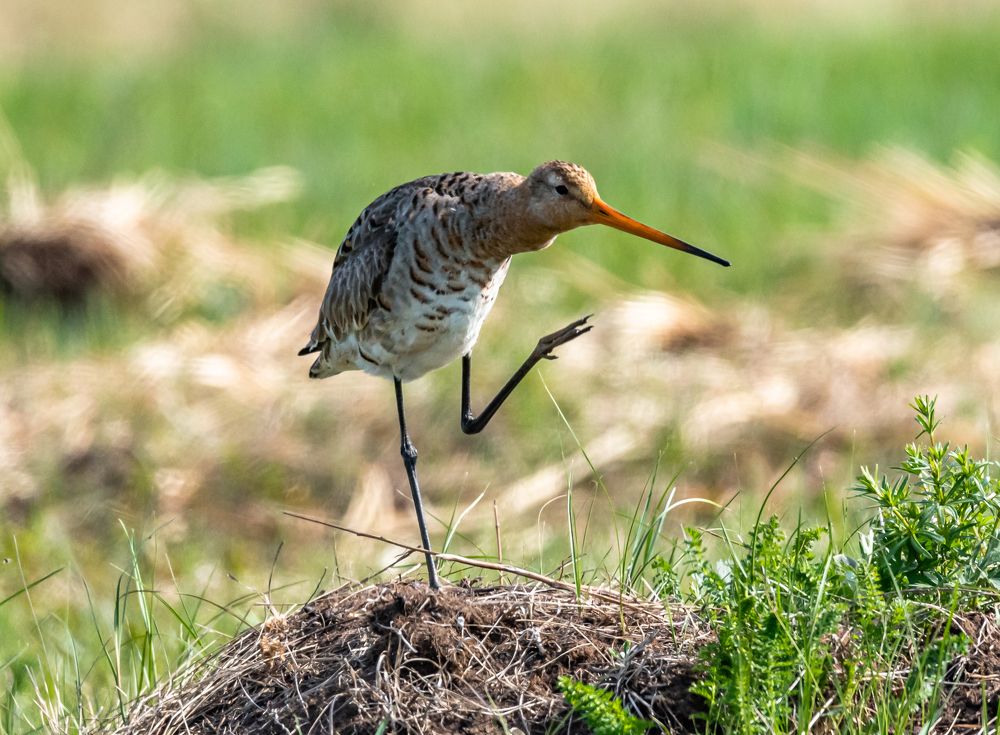 Photograph by Александр