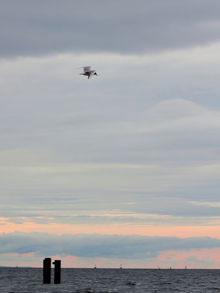 Фотография автора Михаил Кротков