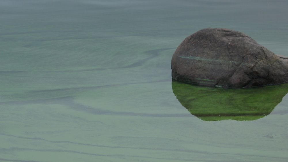 Фотография автора Михаил Кротков