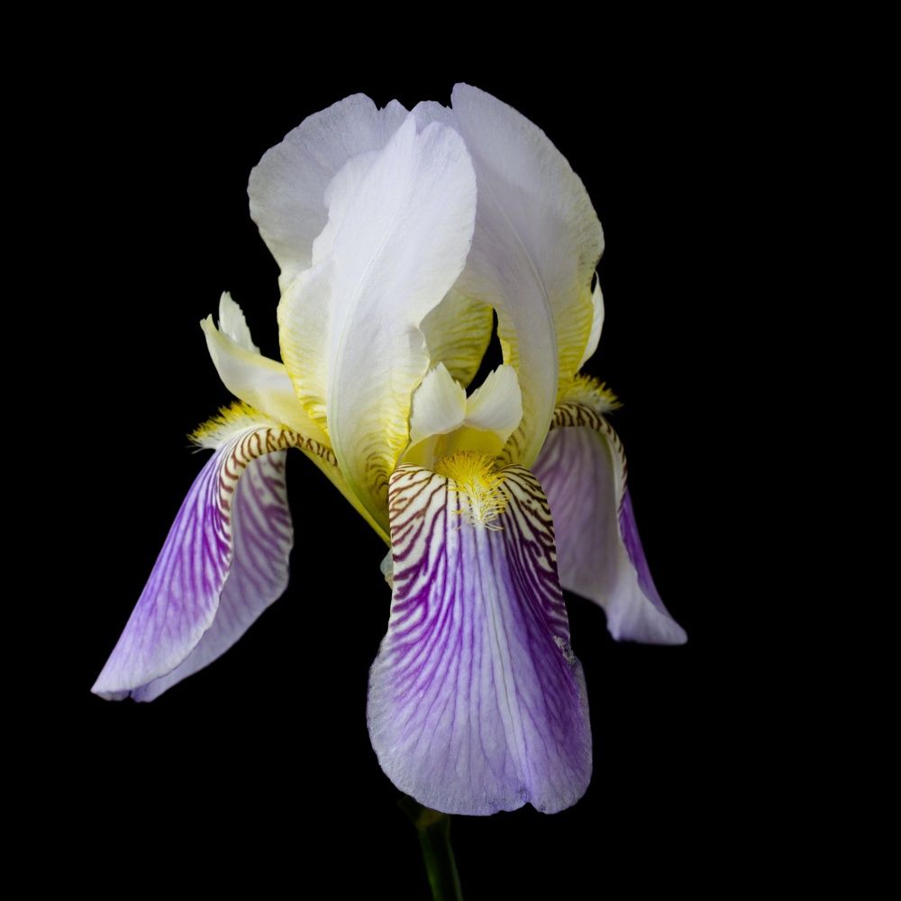 Photograph by Евгения Шулакова