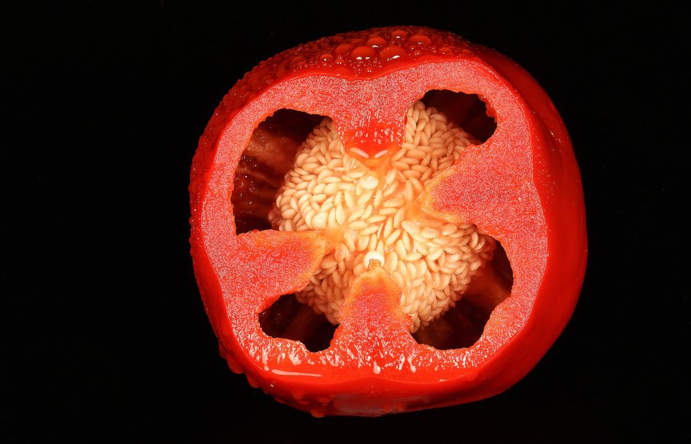 Photograph by Владимир Vladimir