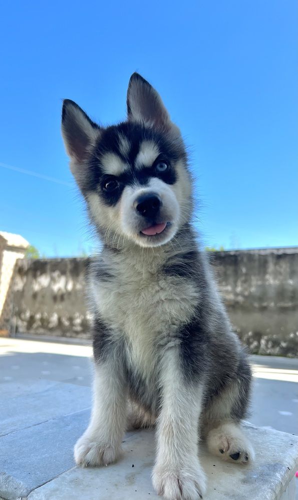 Photograph by Sharma Dr Megha