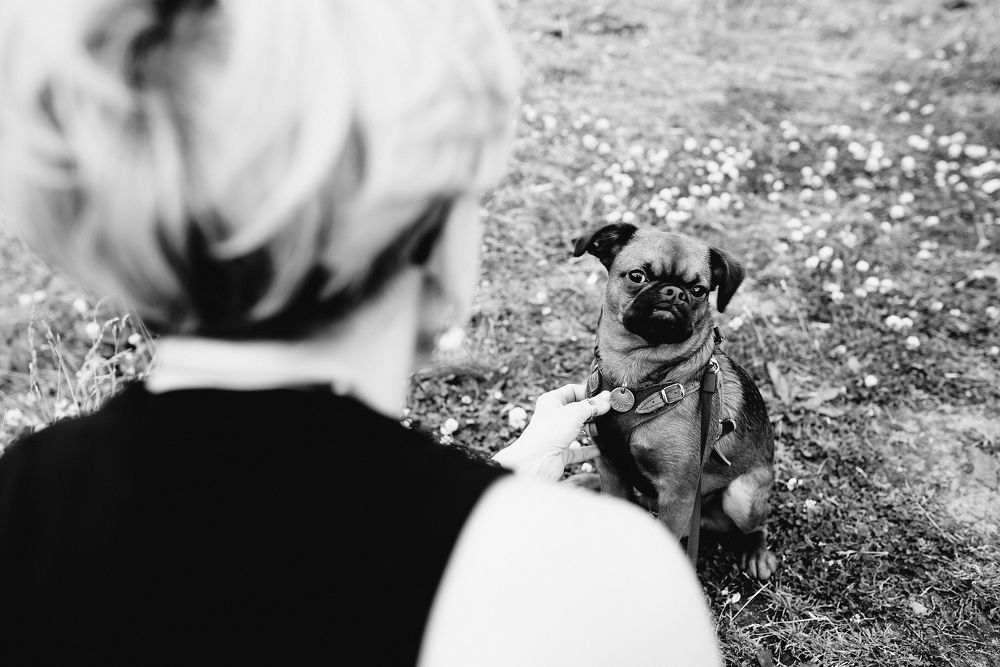 Photograph by Макуха Ольга