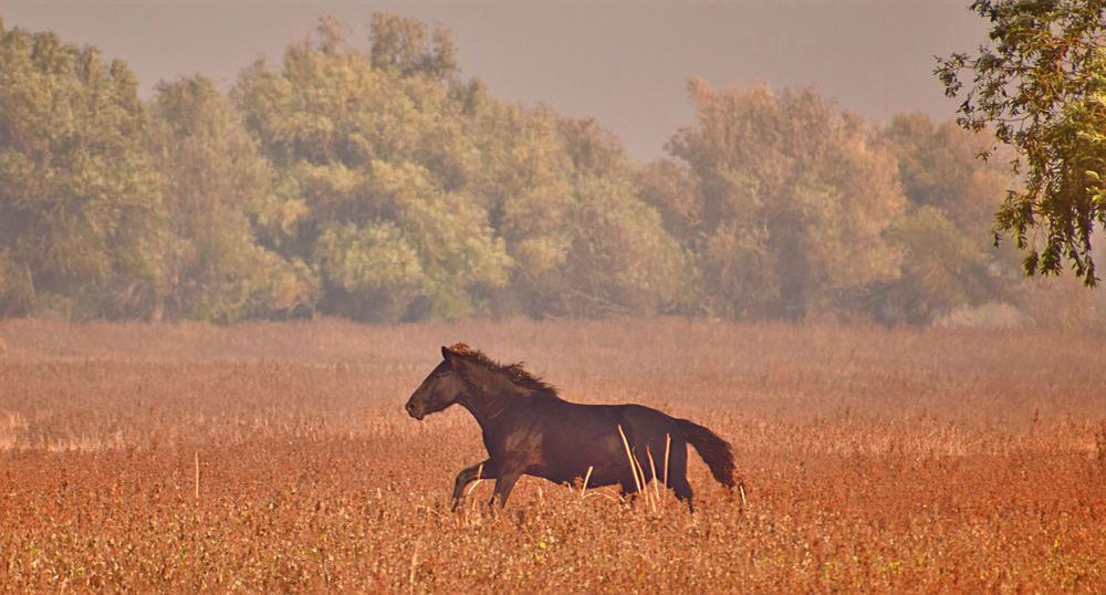 Photograph by Александр Шувалов