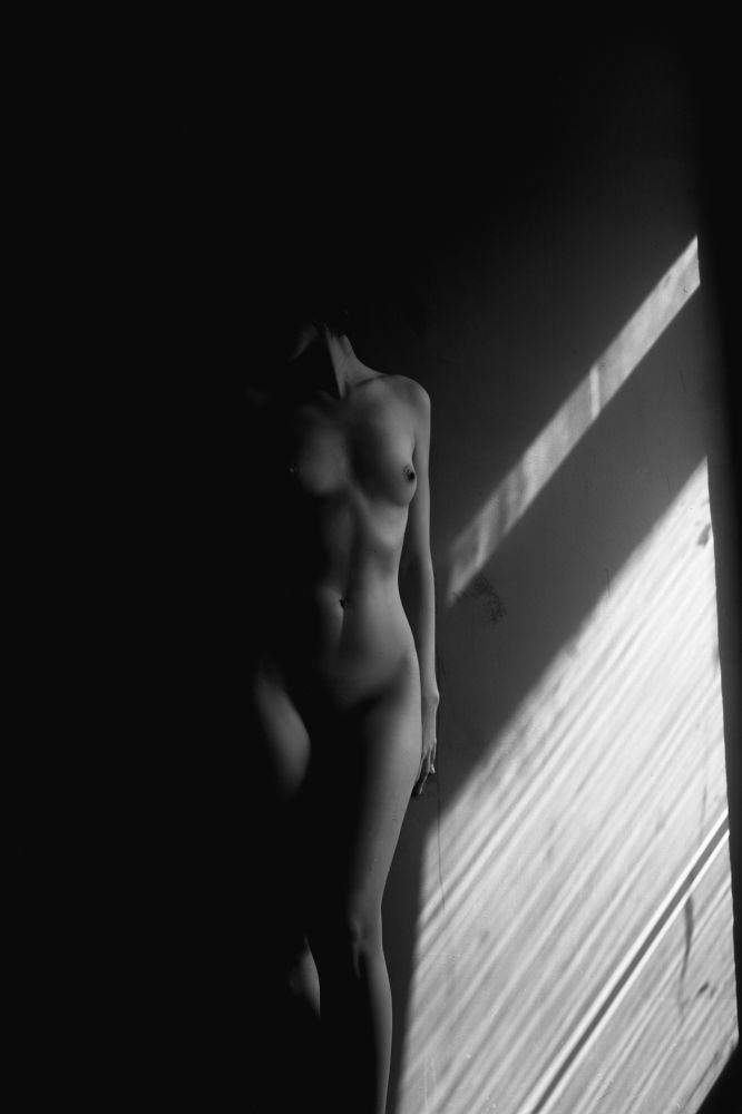 Фотография автора Nadezhda Neklyudova