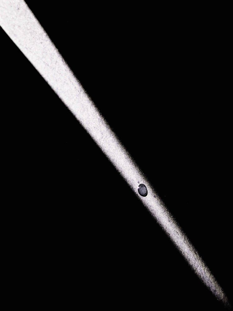 Photograph by Максим Фролов