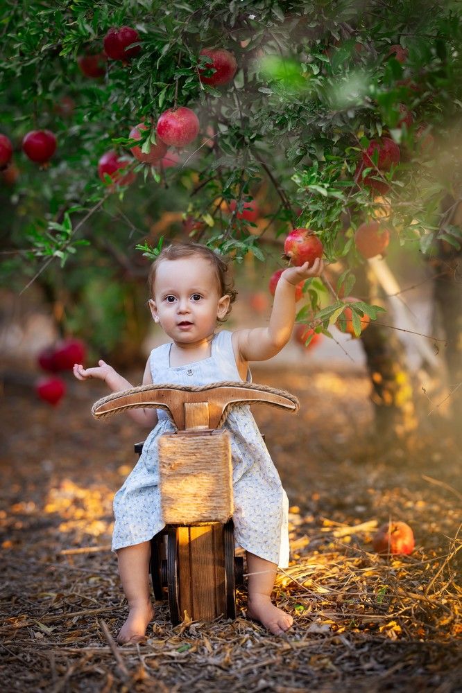 Photograph by רותם שריד