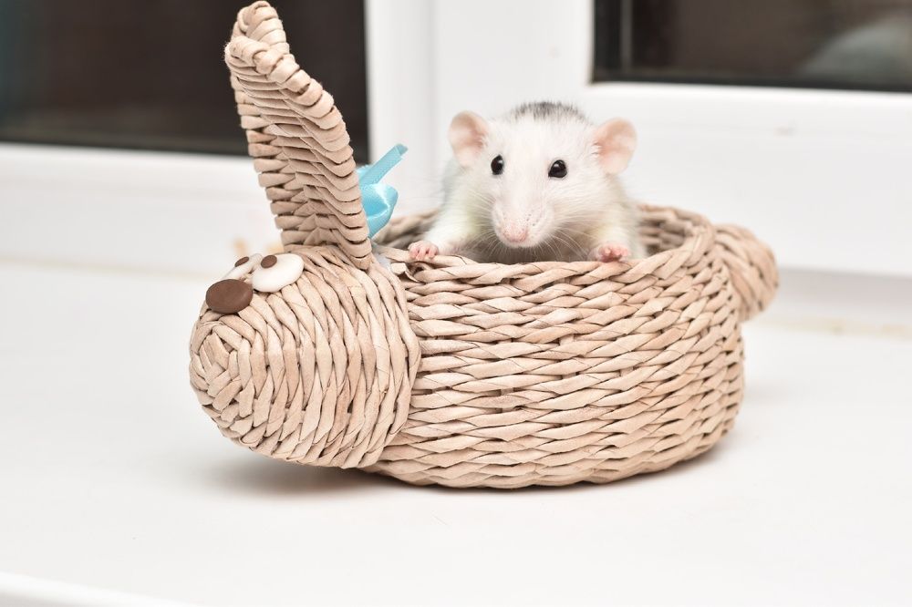 Photograph by Екатерина Верясова