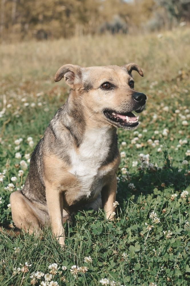 Photograph by Екатерина Верясова