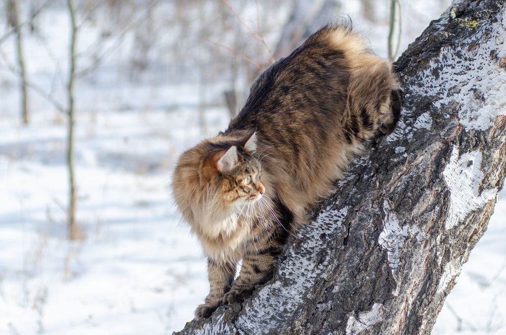 Photograph by Алексей Александрович