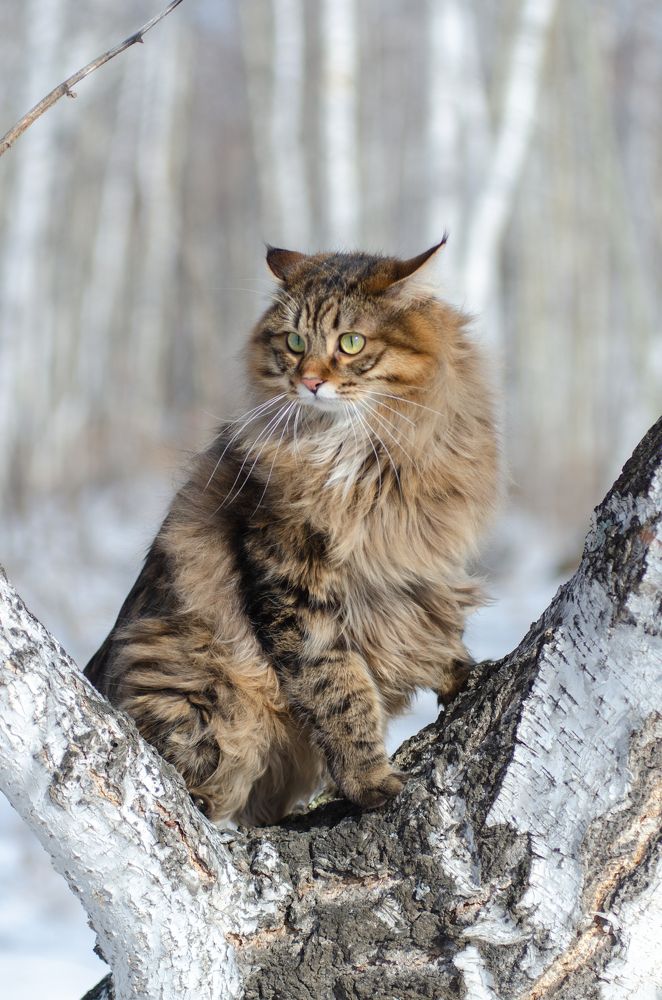 Photograph by Алексей Александрович