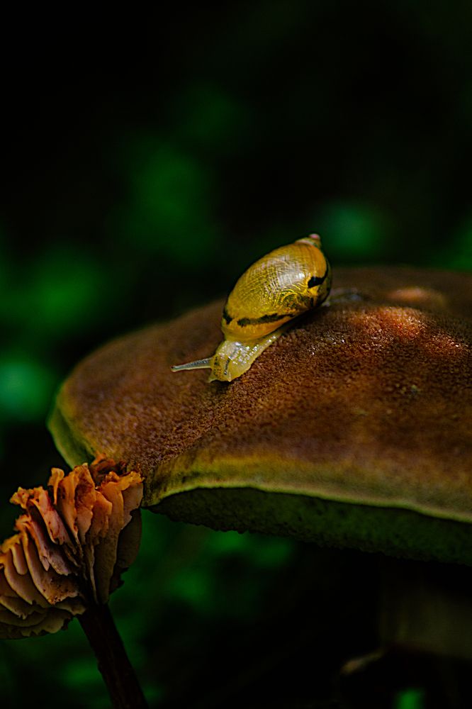Photograph by Александр Жариков