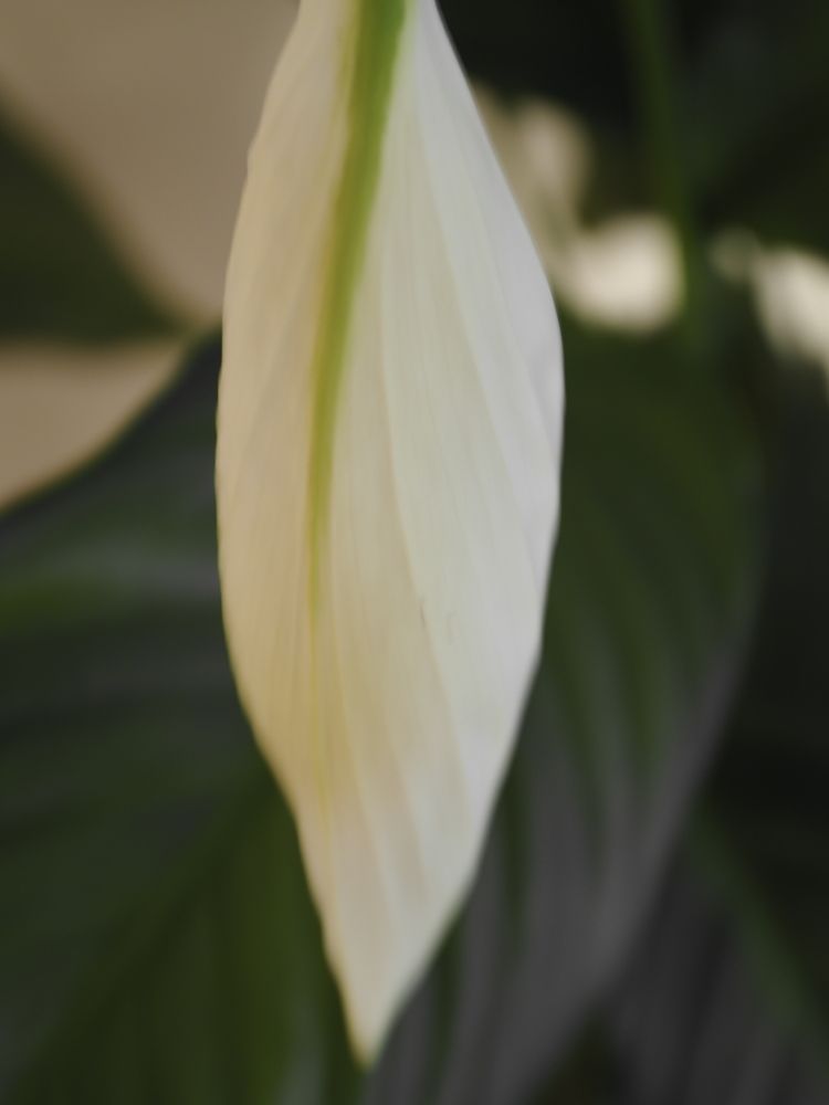 Photograph by Сергей Борисов