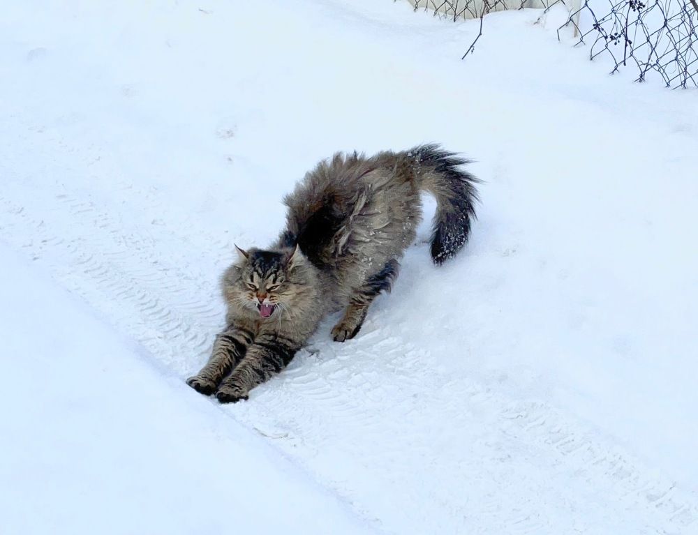 Photograph by Svetlana Rashidova