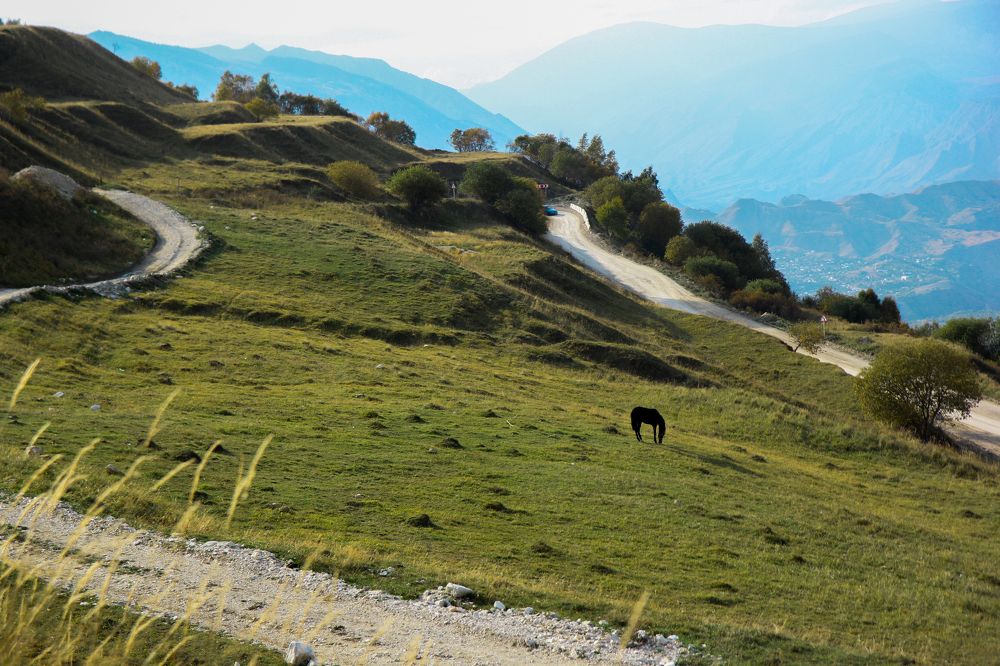 Photograph by Sveta Anokhina