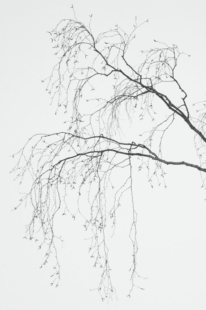 Фотография автора Михаил Кротков