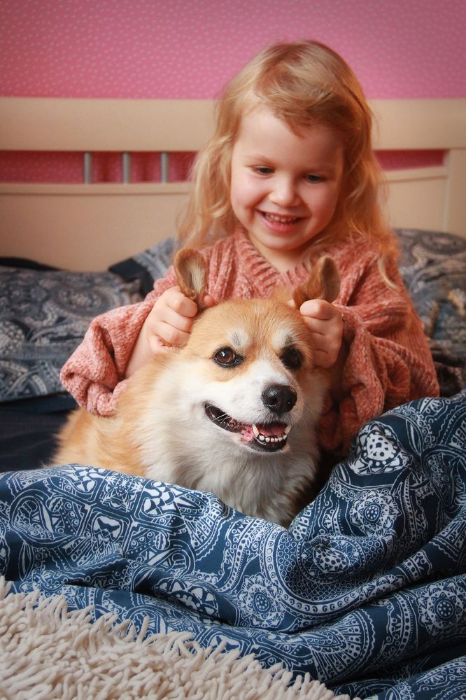 Фотография автора Галина Аверьянова