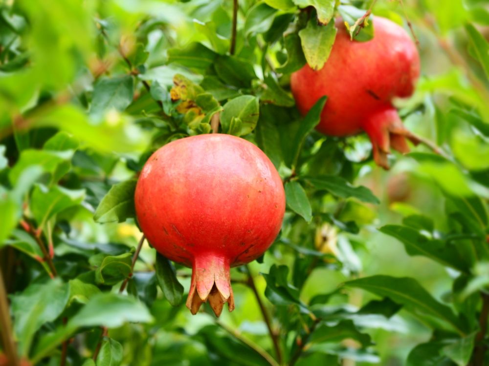 Photograph by Сергей Борисов