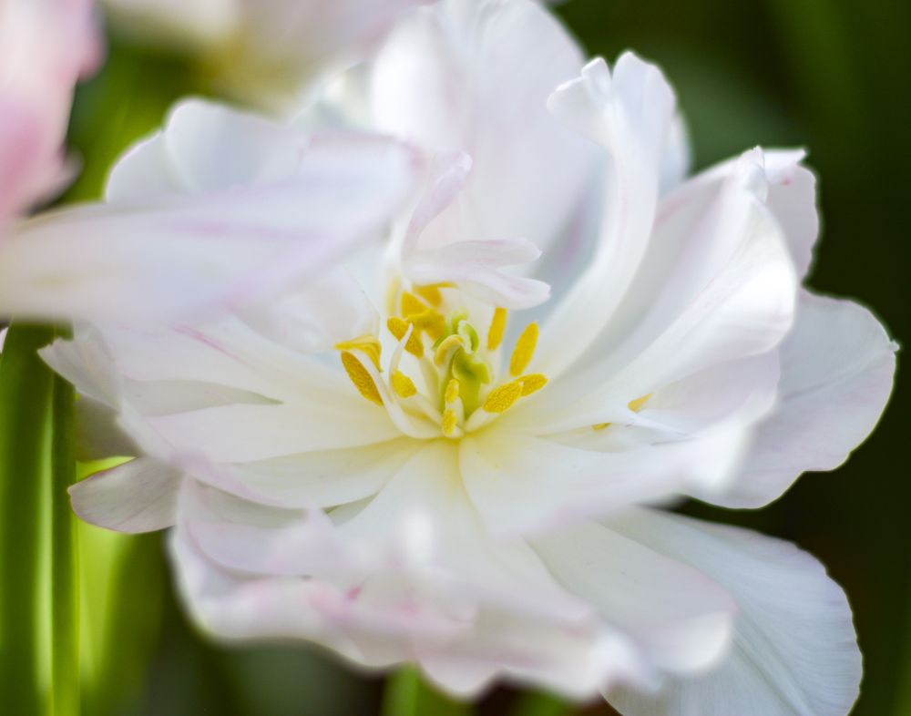 Photograph by Евгения Шулакова