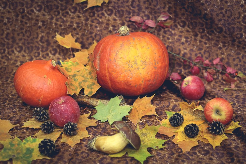 Photograph by Елена Буканина